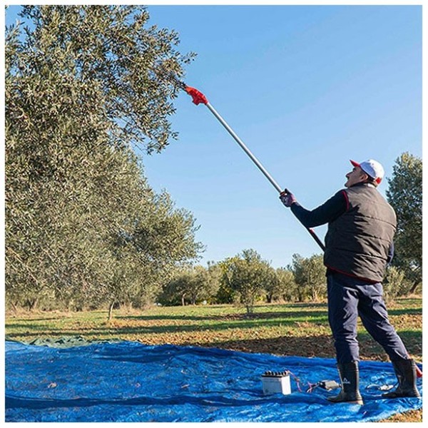 Ελαιοραβδιστικό Μηχάνημα Antrac Oliva